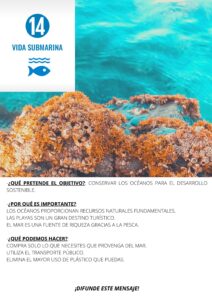 ODS 14 Vida submarina