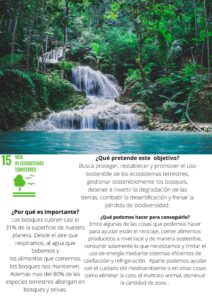 ODS 15 VIDA DE ECOSISTEMA TERRESTRES (4)