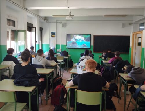 5′ calma, 50′ atención