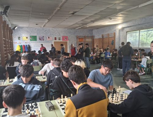 Celebramos nuestro VI Torneo de Ajedrez